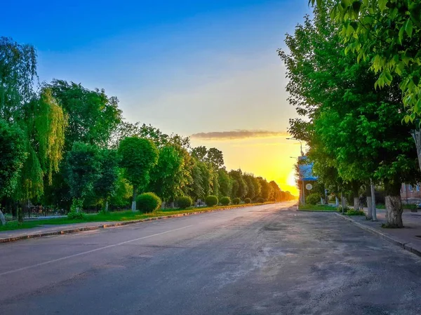 Zartes Warmes Sonnenuntergangslicht Über Der Mit Grünen Bäumen Bepflanzten Straße — Stockfoto