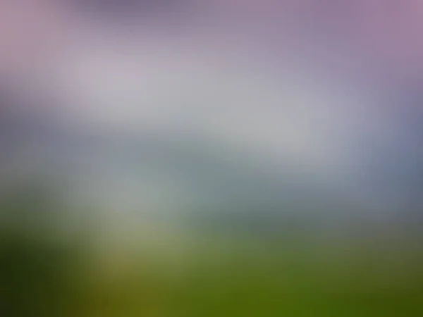 Purple Crocus Bloemen Tuin Ontwaken Het Voorjaar Warme Gouden Stralen — Stockfoto