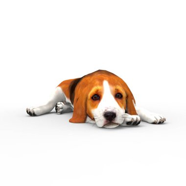 Bir blender aracı kullanılarak oluşturulan köpek 3d render
