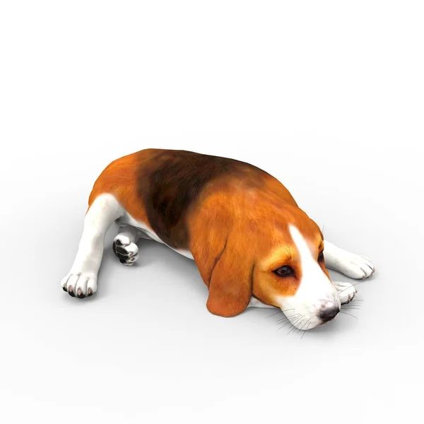 Візуалізація Собаки Створена Допомогою Інструменту Блендера — стокове фото