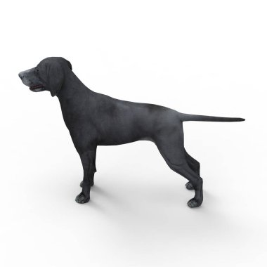 Bir blender aracı kullanılarak oluşturulan köpek 3d render