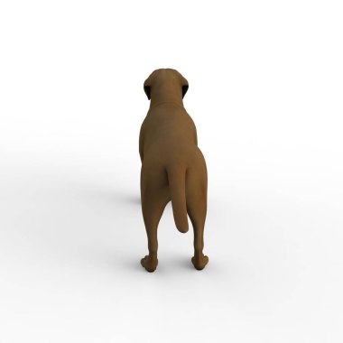 Bir blender aracı kullanılarak oluşturulan köpek 3d render