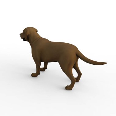 Bir blender aracı kullanılarak oluşturulan köpek 3d render
