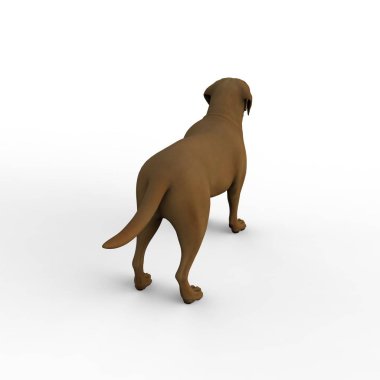 Bir blender aracı kullanılarak oluşturulan köpek 3d render