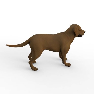 Bir blender aracı kullanılarak oluşturulan köpek 3d render