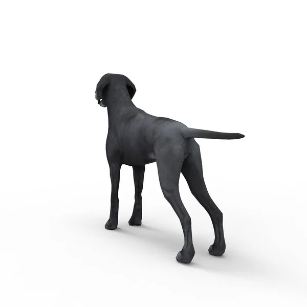 Bir Blender Aracı Kullanılarak Oluşturulan Köpek Render — Stok fotoğraf