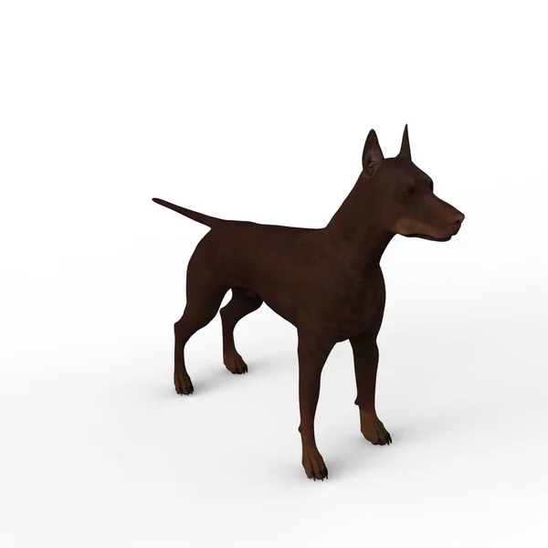 Απόδοση Σκύλου Που Δημιουργήθηκε Χρήση Ενός Εργαλείου Μπλέντερ — Φωτογραφία Αρχείου