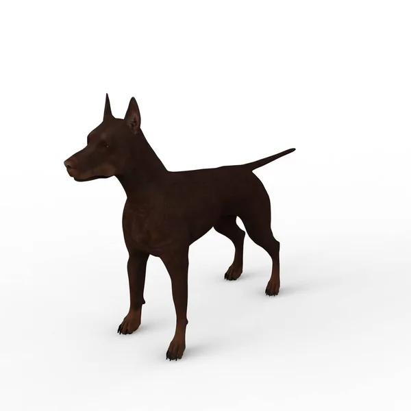 Rendering Dog Created Using Blender Tool — Stock Photo, Image