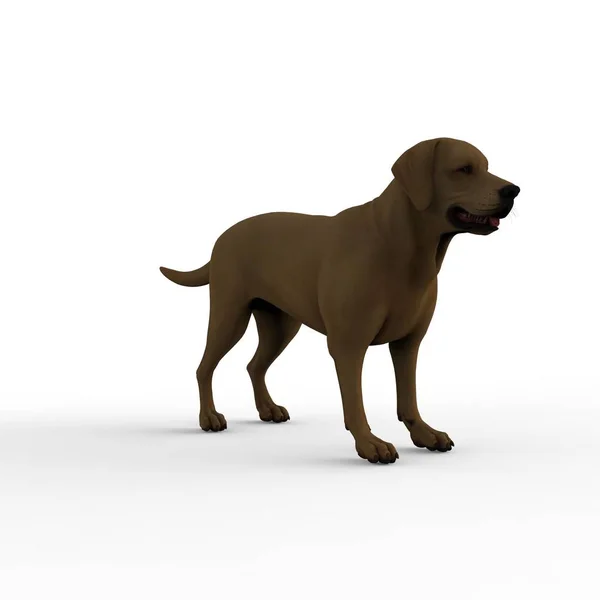 블렌더 도구를 사용하여 강아지의 렌더링 — 스톡 사진