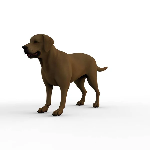 Rendering Dog Created Using Blender Tool — Stock Photo, Image
