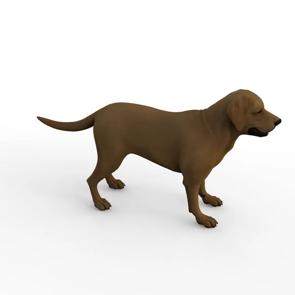 Rendering Van Hond Gemaakt Met Een Blender Tool — Stockfoto