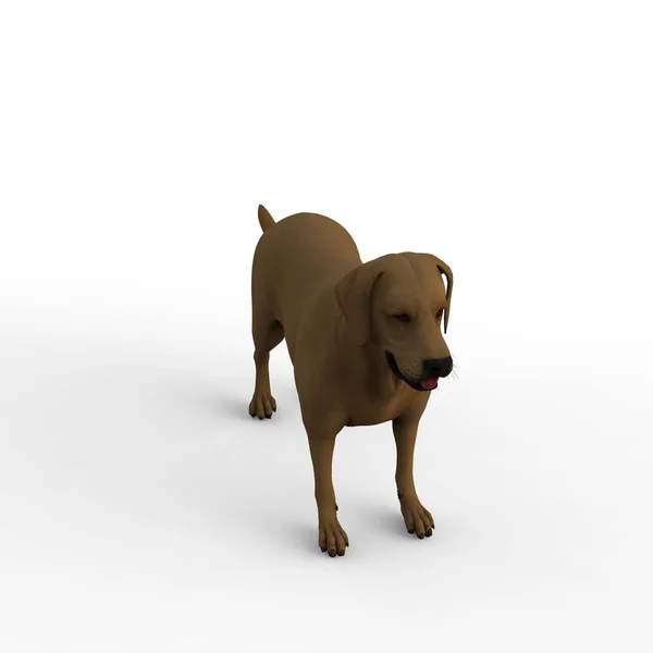 Bir Blender Aracı Kullanılarak Oluşturulan Köpek Render — Stok fotoğraf