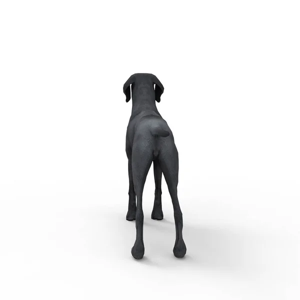 Bir blender aracı kullanılarak oluşturulan köpek 3d render
