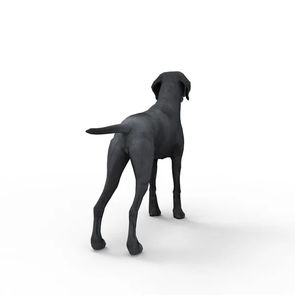 Bir Blender Aracı Kullanılarak Oluşturulan Köpek Render — Stok fotoğraf