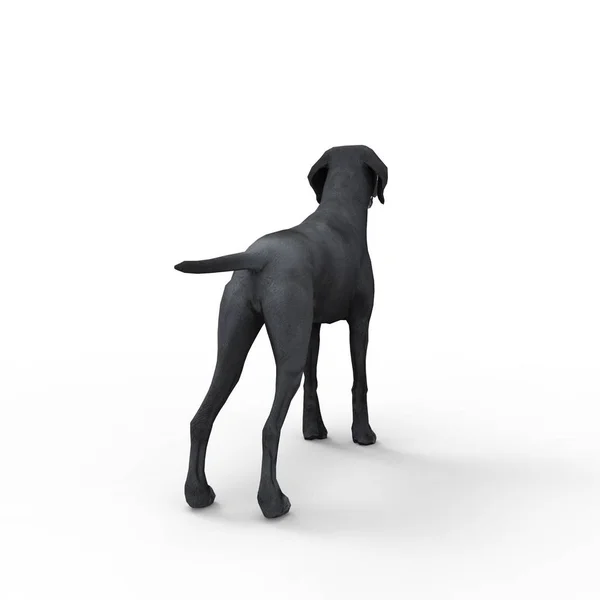 Rendering Von Hund Erstellt Mit Einem Mixer Tool — Stockfoto