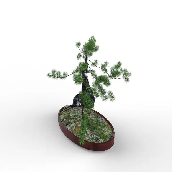 ブレンダー ツールを使用して作成された盆栽を レンダリングします 現実主義者3D盆栽 盆栽を3Dイラスト — ストック写真