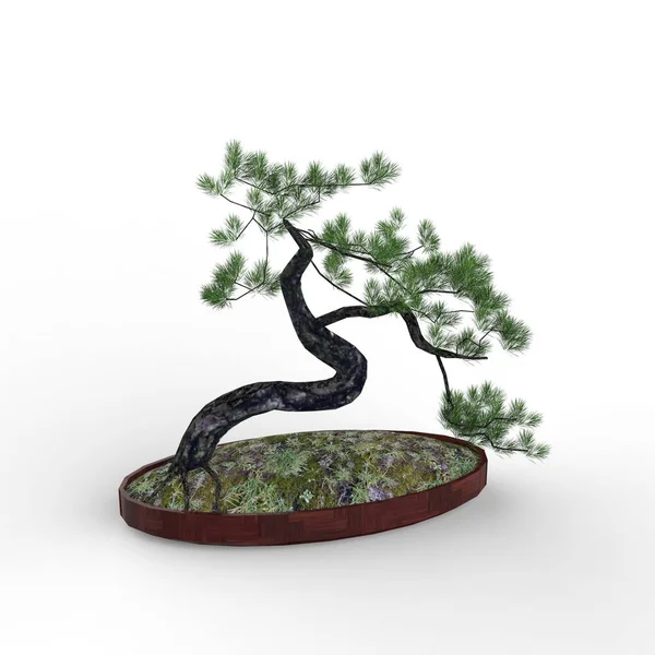 Rendering Bonsai Által Létrehozott Segítségével Turmixgép Eszköz Realista Bonsai Illusztráció — Stock Fotó