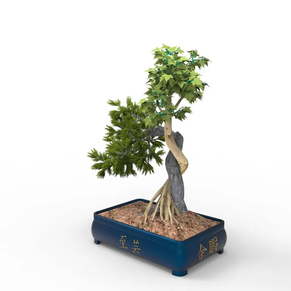 Renderização Bonsai Criado Usando Uma Ferramenta Liquidificador Bonsai Realista Ilustração — Fotografia de Stock