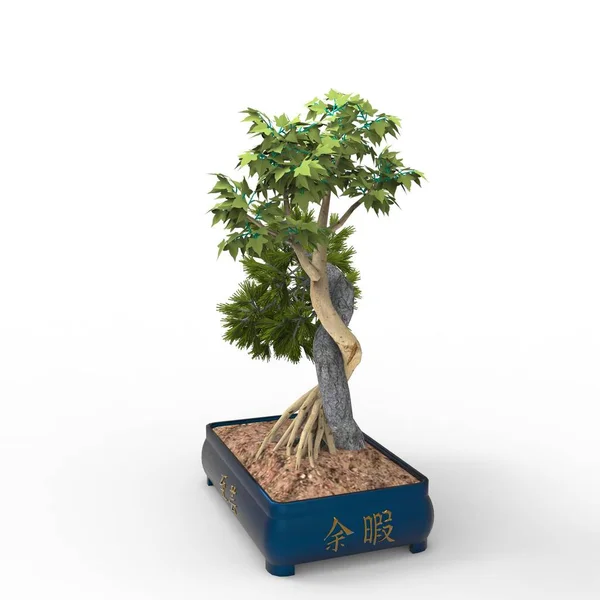 Renderowanie Bonsai Utworzone Pomocą Narzędzia Blender Realist Bonsai Ilustracja Bonsai — Zdjęcie stockowe