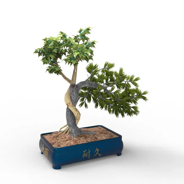 Renderização Bonsai Criado Usando Uma Ferramenta Liquidificador Bonsai Realista Ilustração — Fotografia de Stock