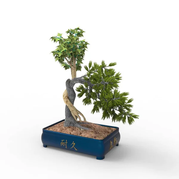 Rendering Bonsai Által Létrehozott Segítségével Turmixgép Eszköz Realista Bonsai Illusztráció — Stock Fotó