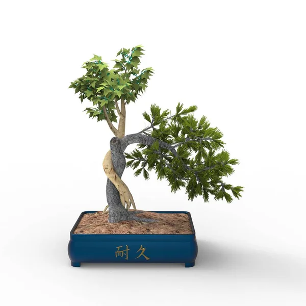 Renderowanie Bonsai Utworzone Pomocą Narzędzia Blender Realist Bonsai Ilustracja Bonsai — Zdjęcie stockowe