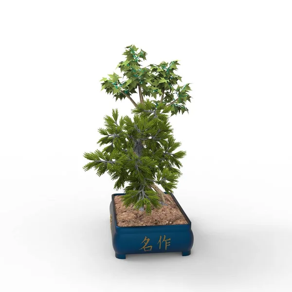 Renderowanie Bonsai Utworzone Pomocą Narzędzia Blender Realist Bonsai Ilustracja Bonsai — Zdjęcie stockowe