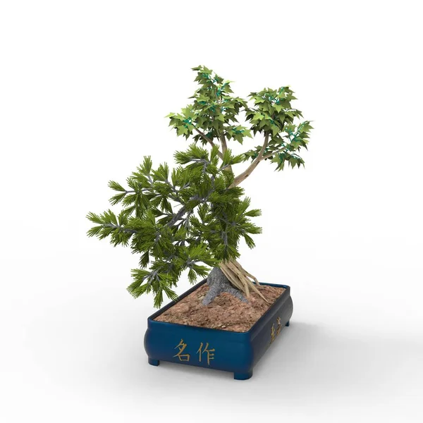 Renderowanie Bonsai Utworzone Pomocą Narzędzia Blender Realist Bonsai Ilustracja Bonsai — Zdjęcie stockowe