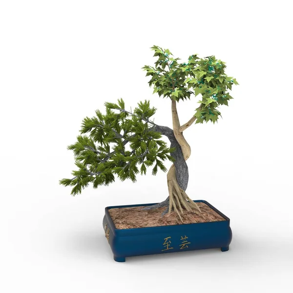 Renderização Bonsai Criado Usando Uma Ferramenta Liquidificador Bonsai Realista Ilustração — Fotografia de Stock