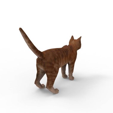 kedi illüstrasyon. Bir blender aracı kullanılarak oluşturulan kedi 3d render