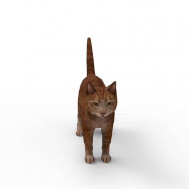kedi illüstrasyon. Bir blender aracı kullanılarak oluşturulan kedi 3d render