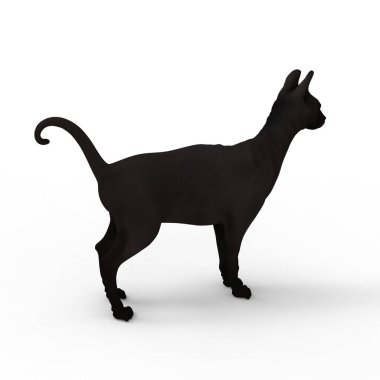 kedi illüstrasyon. Bir blender aracı kullanılarak oluşturulan kedi 3d render