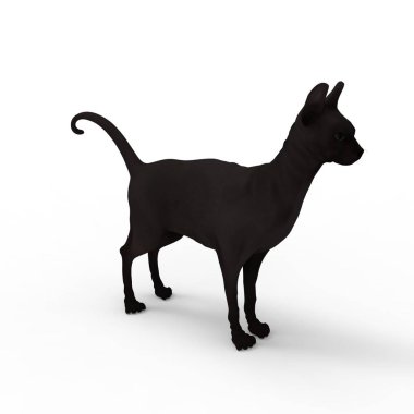 kedi illüstrasyon. Bir blender aracı kullanılarak oluşturulan kedi 3d render