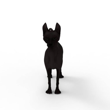 kedi illüstrasyon. Bir blender aracı kullanılarak oluşturulan kedi 3d render
