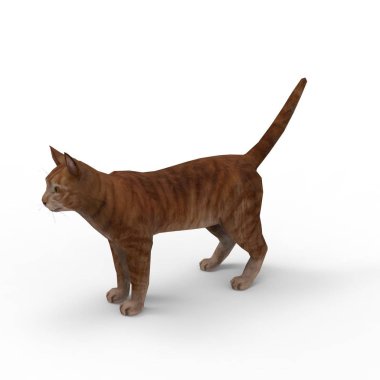 kedi illüstrasyon. Bir blender aracı kullanılarak oluşturulan kedi 3d render
