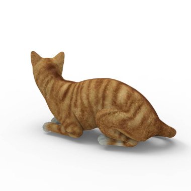 kedi illüstrasyon. Bir blender aracı kullanılarak oluşturulan kedi 3d render