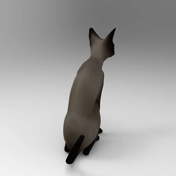 Rendering Cat Created Using Blender Tool — Stock Photo, Image