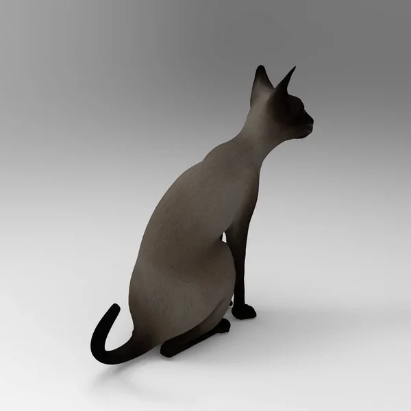 Візуалізація Кота Створена Допомогою Інструменту Блендера — стокове фото