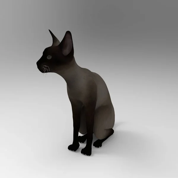 使用搅拌机工具创建的猫的3D渲染 — 图库照片