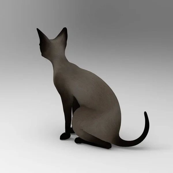 Απόδοση Της Γάτας Που Δημιουργήθηκε Χρήση Ενός Εργαλείου Μπλέντερ — Φωτογραφία Αρχείου