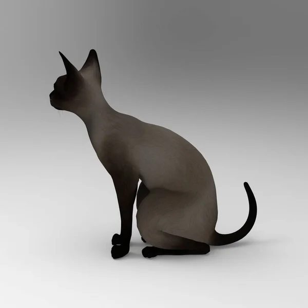 Rendering Cat Created Using Blender Tool — Stock Photo, Image