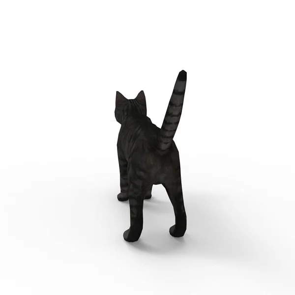 Bir Blender Aracı Kullanılarak Oluşturulan Kedi Render — Stok fotoğraf