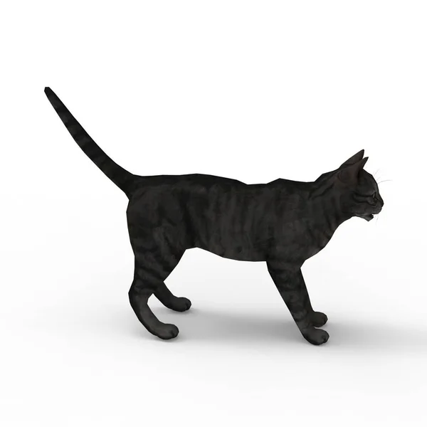 ブレンダーツールを使用して作成された猫の3Dレンダリング — ストック写真