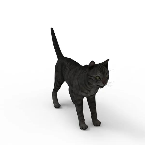 ブレンダーツールを使用して作成された猫の3Dレンダリング — ストック写真