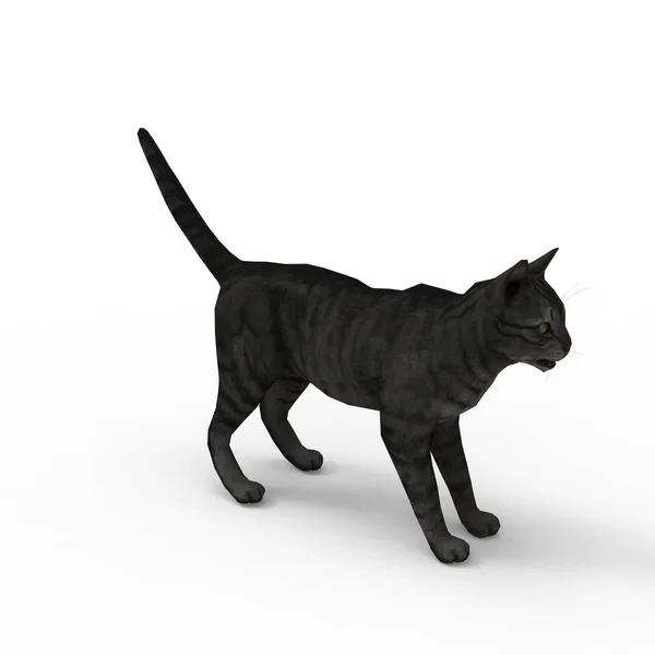 ブレンダーツールを使用して作成された猫の3Dレンダリング — ストック写真
