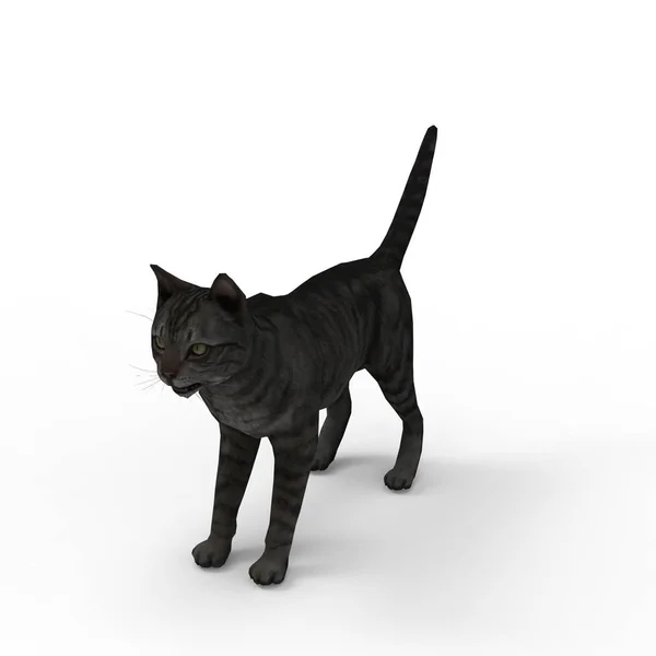 猫のイラスト ブレンダーツールを使用して作成された猫の3Dレンダリング — ストック写真