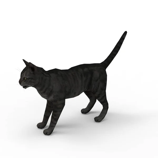 猫のイラスト ブレンダーツールを使用して作成された猫の3Dレンダリング — ストック写真