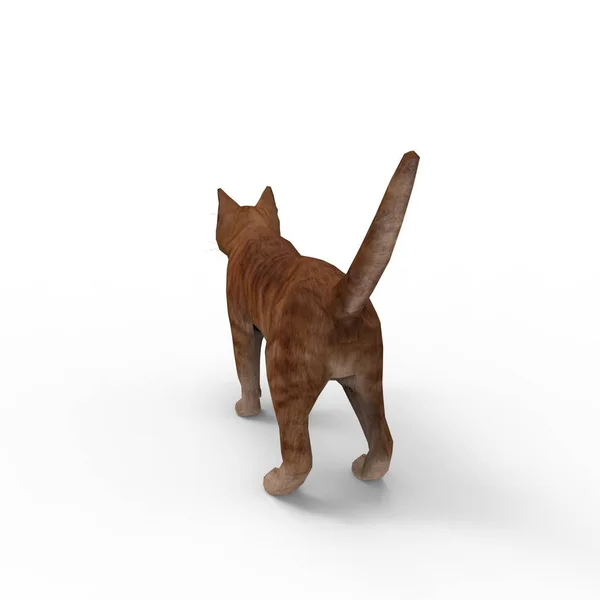 Illustration Cat Rendering Cat Created Using Blender Tool — Stock Photo, Image