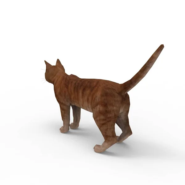 猫的插图 使用搅拌机工具创建的猫的3D渲染 — 图库照片