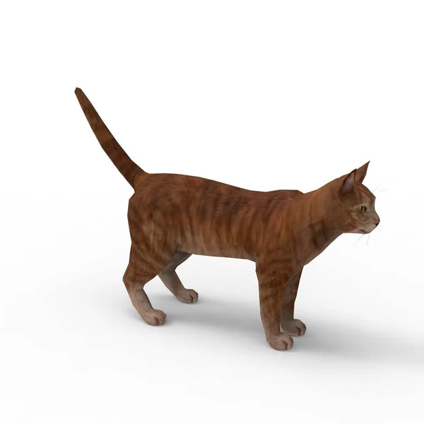 Kedi Illüstrasyon Bir Blender Aracı Kullanılarak Oluşturulan Kedi Render — Stok fotoğraf